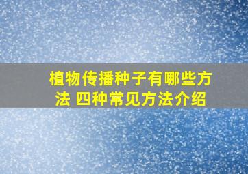 植物传播种子有哪些方法 四种常见方法介绍